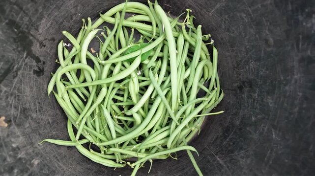 A top down view of raw green beans pods gathered inside a black container showing natural textures and vibrant colors of freshly picked produce