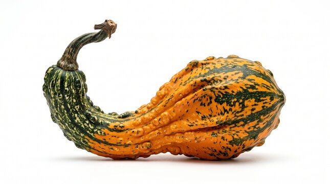 Unique Ornamental Gourd with Green and Orange Stripes and Warty Texture on White Background