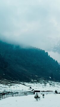 4K Vertical shot of snowfall over mountains at Aru Valley, Jammu and Kashmir, India. Serene winter landscape with snowy pine forest. Soft snow on pine trees, tranquil and cozy nature background.