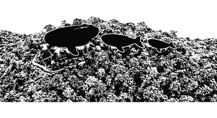 Three airships in silhouette fly over a dense floral background © RABBY