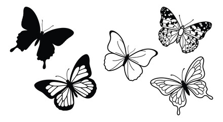 Collection of butterflies in varying line styles against a white background © RABBY