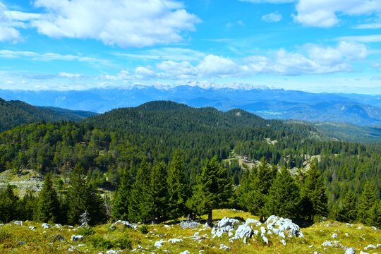Spruce forest covering Jelovica plateau bellow Ratitovec and a view of the Julian alps in Gorenjska, Slovenia