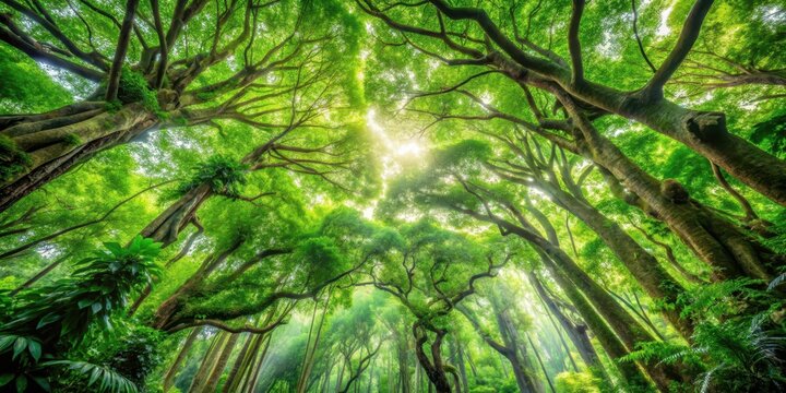 Dense foliage and towering tree canopies create a lush atmosphere