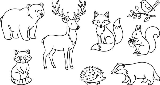 Cute woodland forest animals line art vector illustration set featuring bear deer fox squirrel raccoon hedgehog badger bird