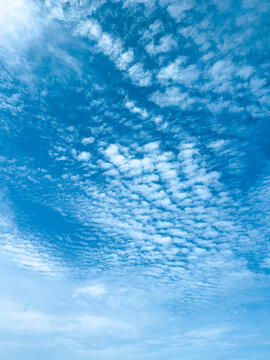 Expansive Blue Sky Filled with Numerous Small White Clouds on a Clear Day
