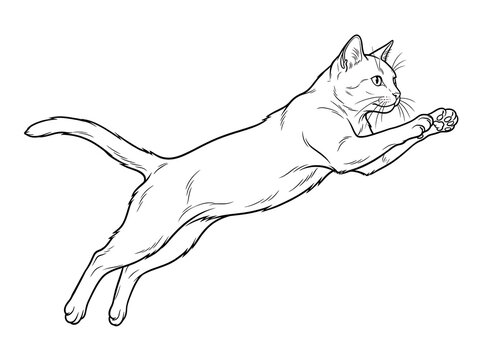 Cute running or jumping cat line art vector illustration, outline drawing of an energetic bounding feline, pet vector design.