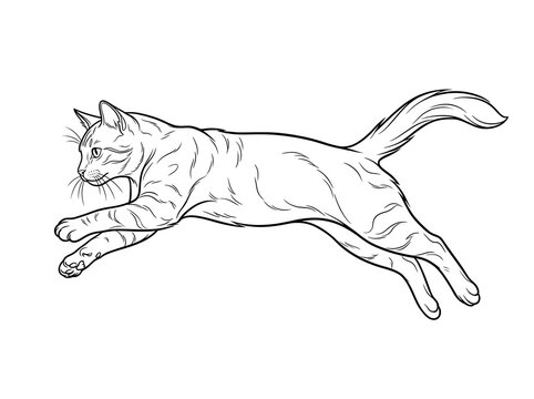 Cute running or jumping cat line art vector illustration, outline drawing of an energetic bounding feline, pet vector design.