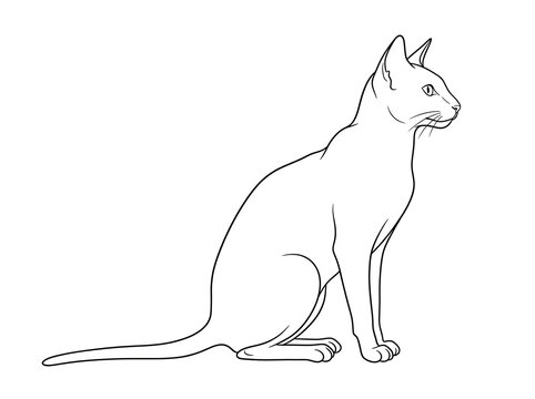 Elegant sitting cat line art vector illustration, profile view of a graceful feline, minimalist pet outline design.