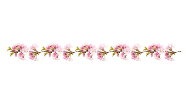 Seamless floral cherry blossom border with pink flowers and green leaves for nature-themed decorative design on transparent background