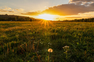 Sunset seen from Krakowskie Błonia meadow.. A picturesque meadow in the warm rays of the setting sun. Krakow. Malopolska. Poland.