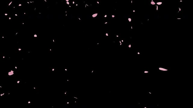 桜散るループ素材（右から左へ流れ落ちていく花びら） アルファチャンネル・透過素材つき
