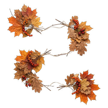 Dried leaf garland with berries rests on transparent background