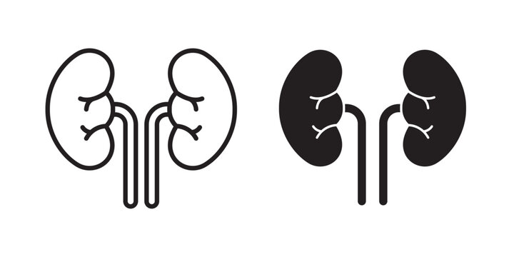 Kidney icon