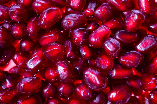 Fresh pomegranate arils background. Pomegranate garnet fruit background. Isolated red pomegranate seeds. Pomegranate seeds, detail for red design.