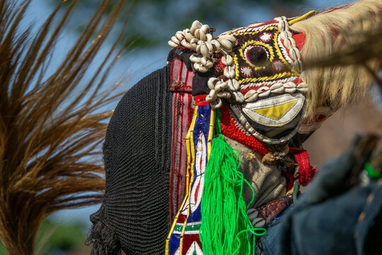 A Dan tribe dancer performs the Kwuya Gblen-Gbe tall mask dance adorned with cowrie shells and a blond fur mane, Bafing, Gboni, Ivory Coast