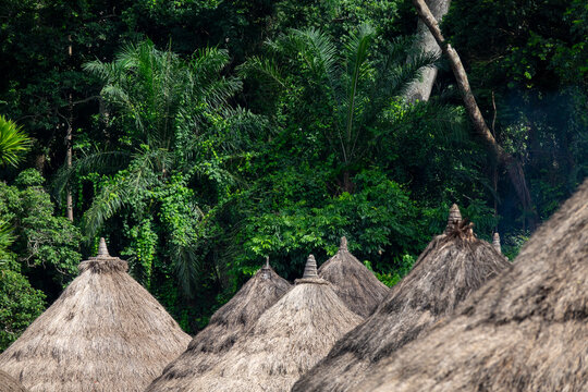 Thatched conical huts topped with sculpted finials cluster amid a lush forest village, Bafing, Gboni, Ivory Coast