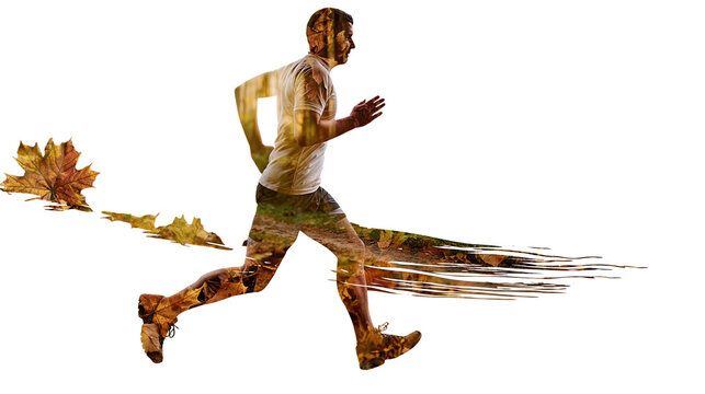 Male runner with autumn forest double exposure effect isolated on transparent background PNG element