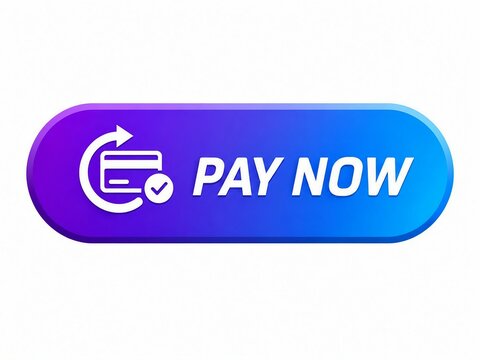 Modern pay now button with credit card and checkmark icon
