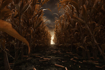 Fototapeta premium 3D rendering of a withered cornfield with a path running through it, set against a dramatic sky
