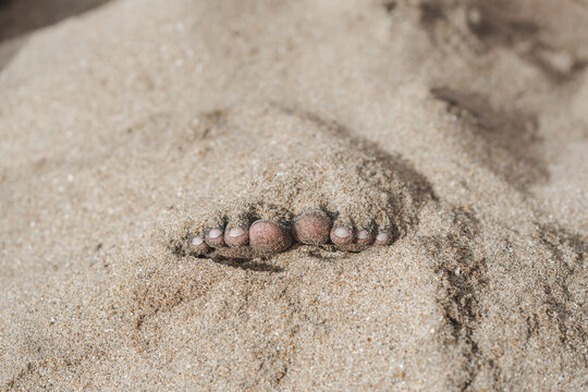 Dedos de los pies enterrados en la arena de la playa