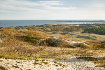 Breathtaking vista of Parnidis dune sand hills and autumn vegetation overlooking the sea in Nida Lithuania perfect for nature travel themes © Anna Lurye