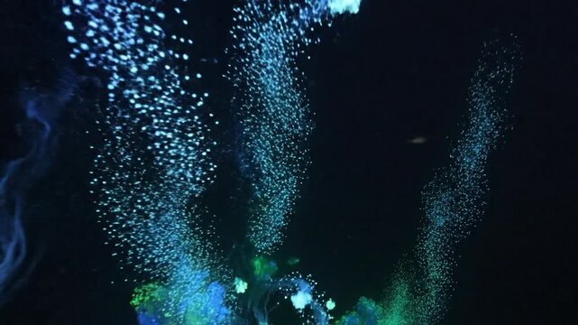 Bioluminescent algae blooms drifting and breaking apart in the deep dark ocean water
