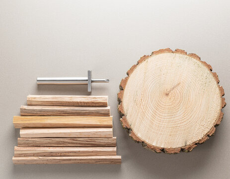 Dendrochronology Tree Cores and Annual Growth Rings