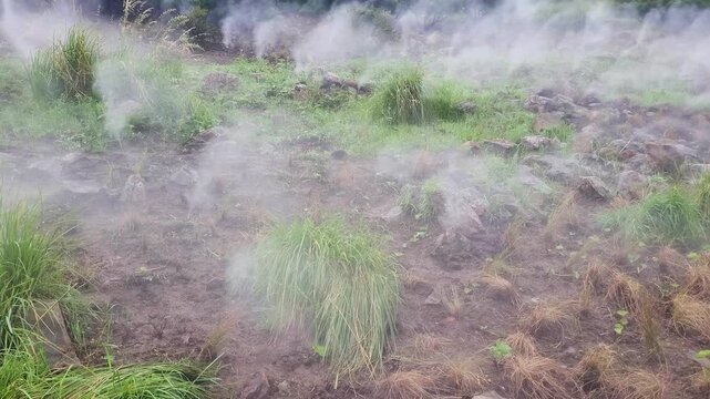 Ecological soil steaming and thermal weed control in agricultural field
