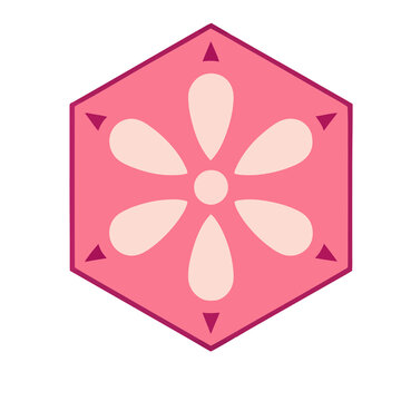 Pink hexagon with flower and triangles