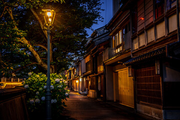 Fototapeta premium 金沢・主計町茶屋街の夜景