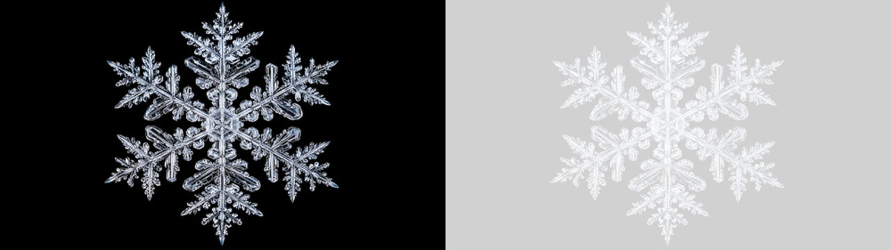 Macro cristallo di fiocco di neve dettagliato su sfondo nero e versione trasparente PNG per grafica. Struttura geometrica di ghiaccio invernale ideale per decorazioni natalizie