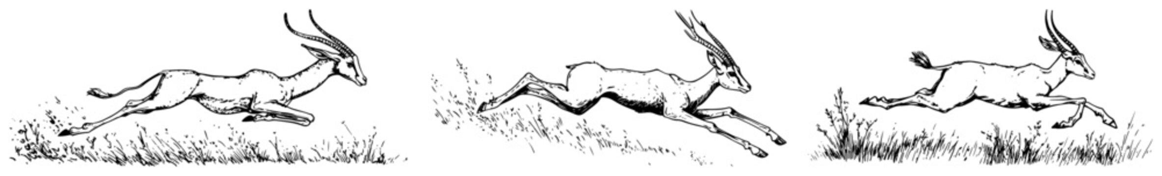 Gazelle jumping and running through grass field in hand drawn doodle style