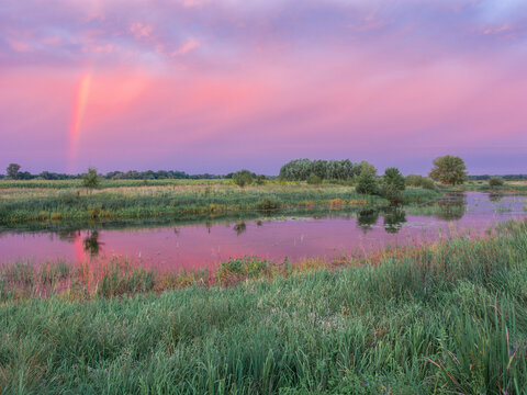 A vibrant rainbow arches across a pink and purple sunset sky, beautifully reflecting in the calm waters of a countryside river.