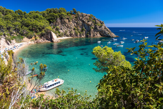 Cala Giverola beach on Costa Brava near Tossa de Mar in Spain