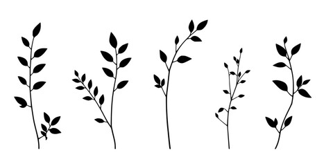 Obraz premium Leafy branches set with linear black and white vector illustration against white background featuring unique leaf shapes, contrasting stems, serene natural mood with clean minimal aesthetic