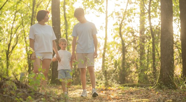 Full length back view of mother with two boys holding hands and walking away from camera in park 