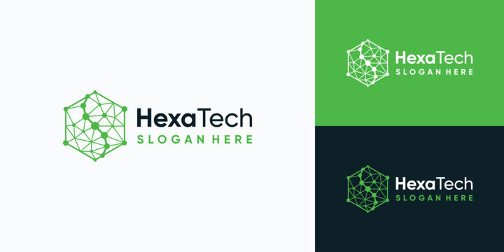 HexaTech Logo Design with Geometric Network Structure.