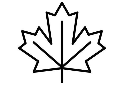 Maple leaf icon line art symbol for autumn fall season design element
