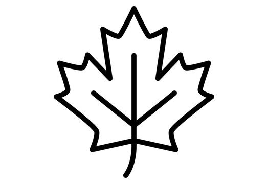 Maple leaf outline icon line art symbol for fall seasonal design
