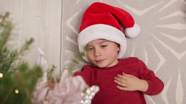 Close-up shots of two boys and their grandmother decorating a Christmas tree indoors. The brothers wear festive hats and pet a black cat near winter ornaments and a toy snowman.