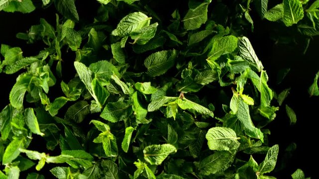 Super Slow Motion of Flying Fresh Mint Leaves. Filmed on High Speed Cinema Camera, 1000 fps. Camera Placed on High Speed Cine Bot, Rotating.