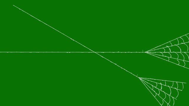 Elegant white spider web rapidly expanding and contracting with elastic silk thread motion on a green background,spooky Halloween cobweb effect, seamless 4k VFX loop for compositing.