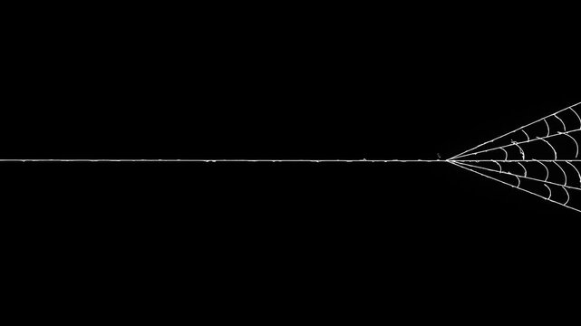 Spider web rapidly stretching and contracting its elastic threads, isolated on black screen, dynamic elastic silk threads with fast stretching motion, high detail cobweb element for action.4k