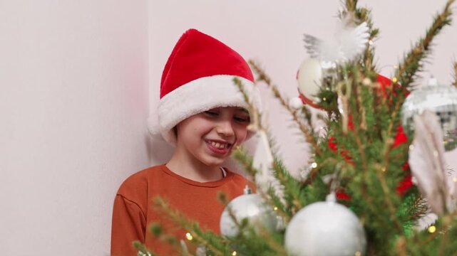 Close-up shots of two boys and their grandmother decorating a Christmas tree indoors. The brothers wear festive hats and pet a black cat near winter ornaments and a toy snowman.