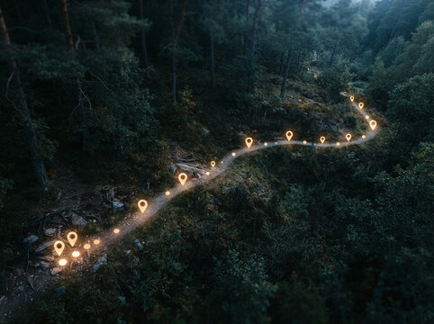 Glowing pin icons marking a path through a dense evergreen forest outdoors
