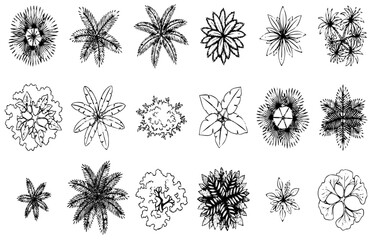 Obraz premium Tropical Plant CAD Blocks Top View Monoline Botanical Vector Collection