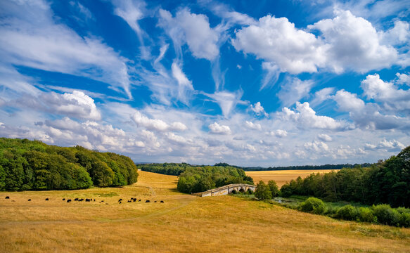Panoramic summer view from the Temple of the Four Winds across the parkland of Castle Howard in North Yorkshire, England, with the historic New River Bridge, grazing cattle and golden grassland beneat