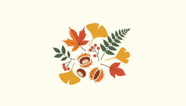 Autumn foliage and chestnuts composition on a light background representing harvest season and thanksgiving decor.