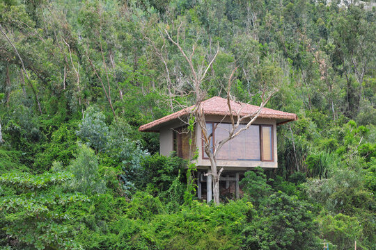 Modern Jungle Bungalow Stilt House Surrounded by Green Trees