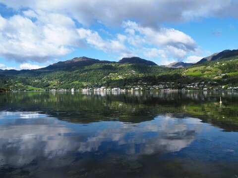 Mirrors in nature
